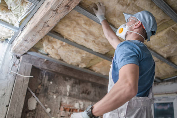 Best Insulation Maintenance and Repair in Hayward, WI