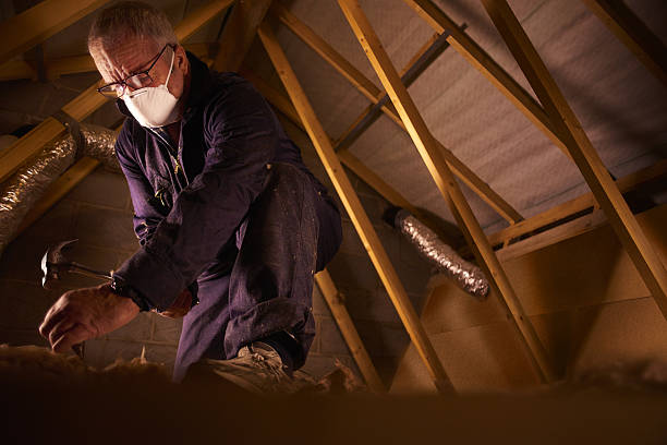 Professional Insulation Contractor in Hayward, WI
