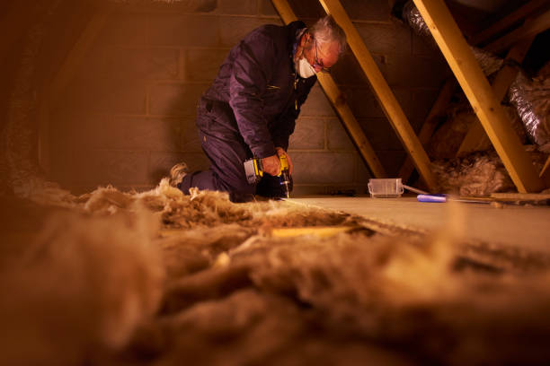 Best Cellulose Insulation in Hayward, WI